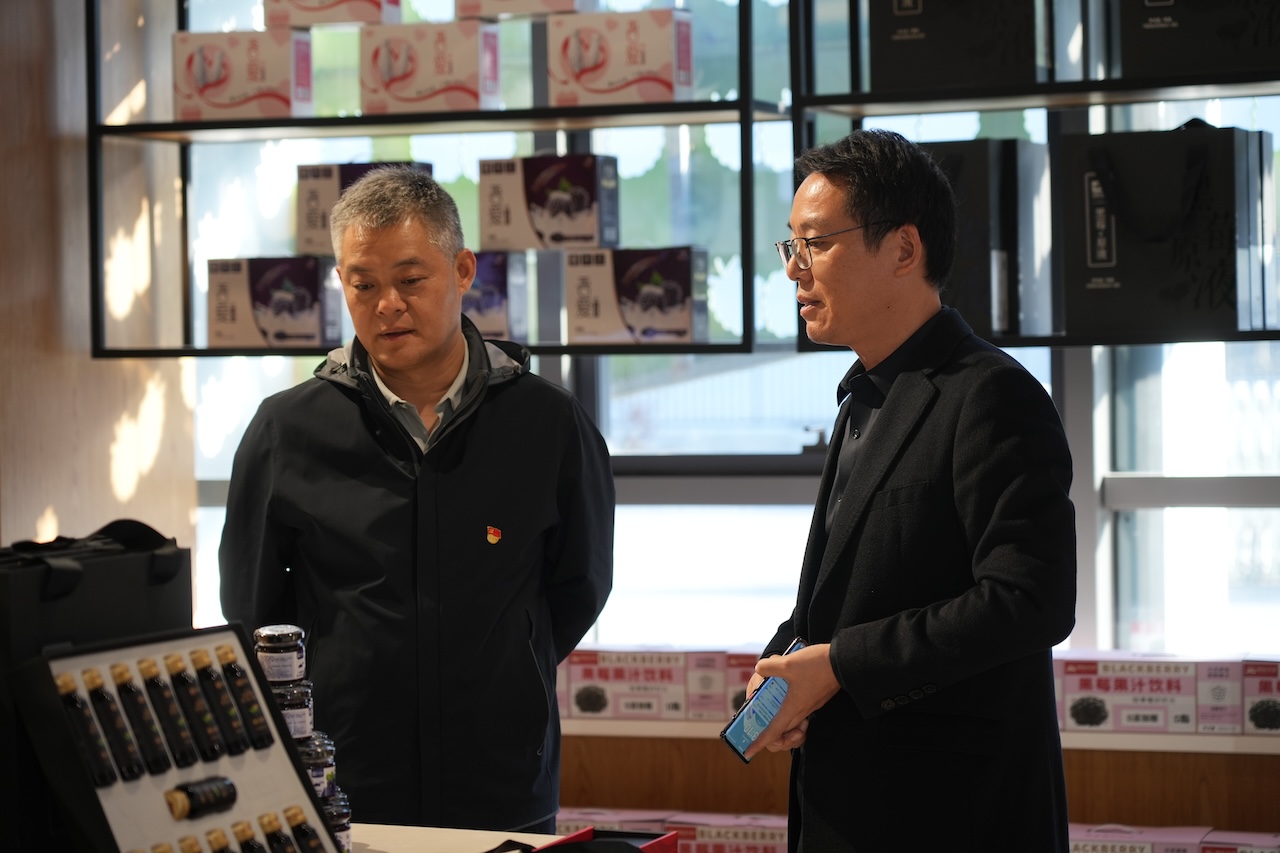 1763185557733078.jpg DSC06538.JPG