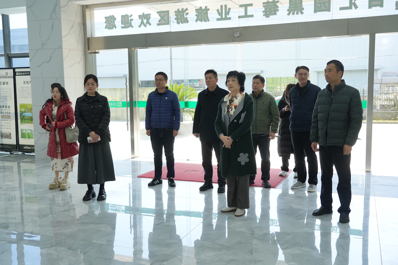 1764029377768808.jpg DSC06572.JPG