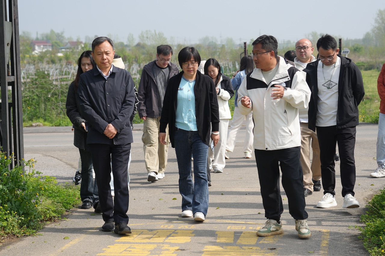 1776049936657691.jpg DSC07475.JPG